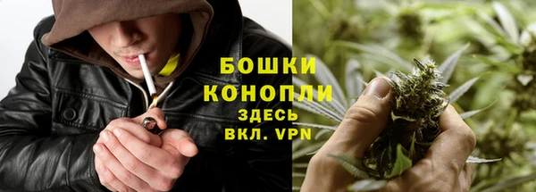 эйфоретик Богородск