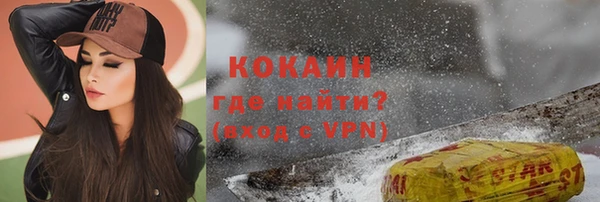 гашиш Богданович